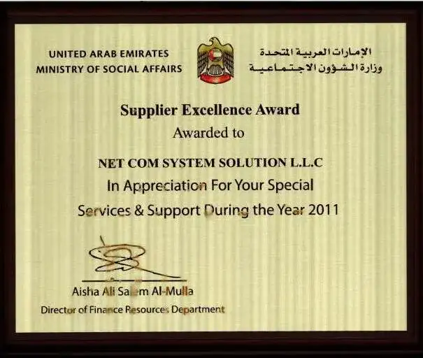 Supplier Excellence Award